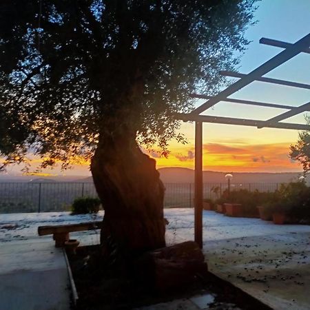 ホテル Il Colle Degli Ulivi San Calogero エクステリア 写真