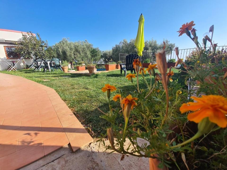 ホテル Il Colle Degli Ulivi San Calogero エクステリア 写真