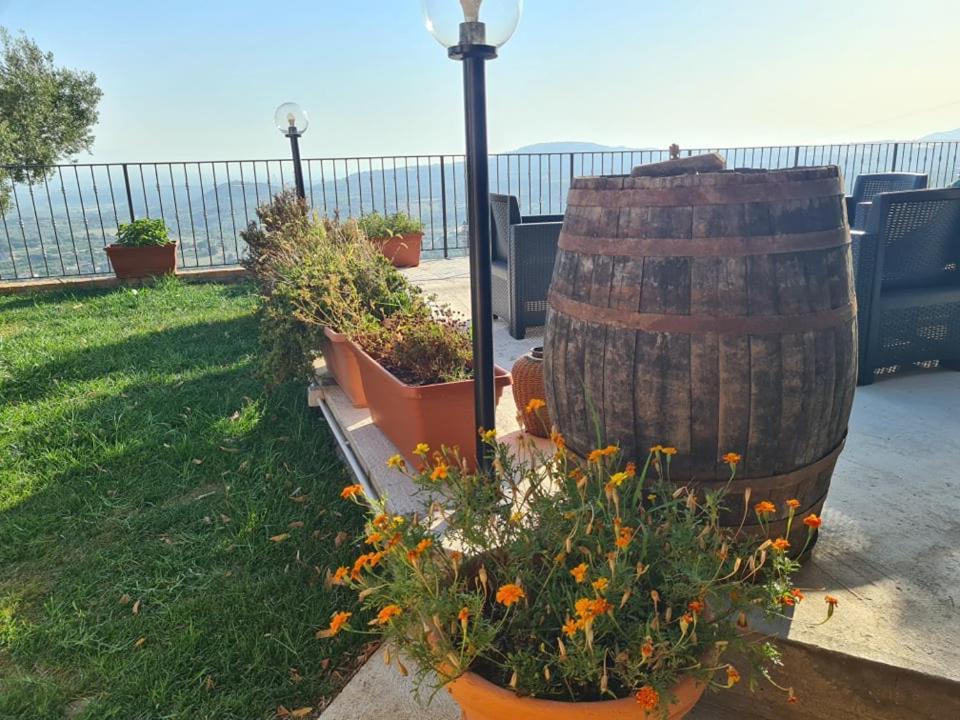ホテル Il Colle Degli Ulivi San Calogero エクステリア 写真