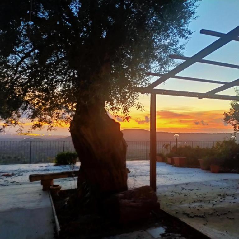 ホテル Il Colle Degli Ulivi San Calogero エクステリア 写真