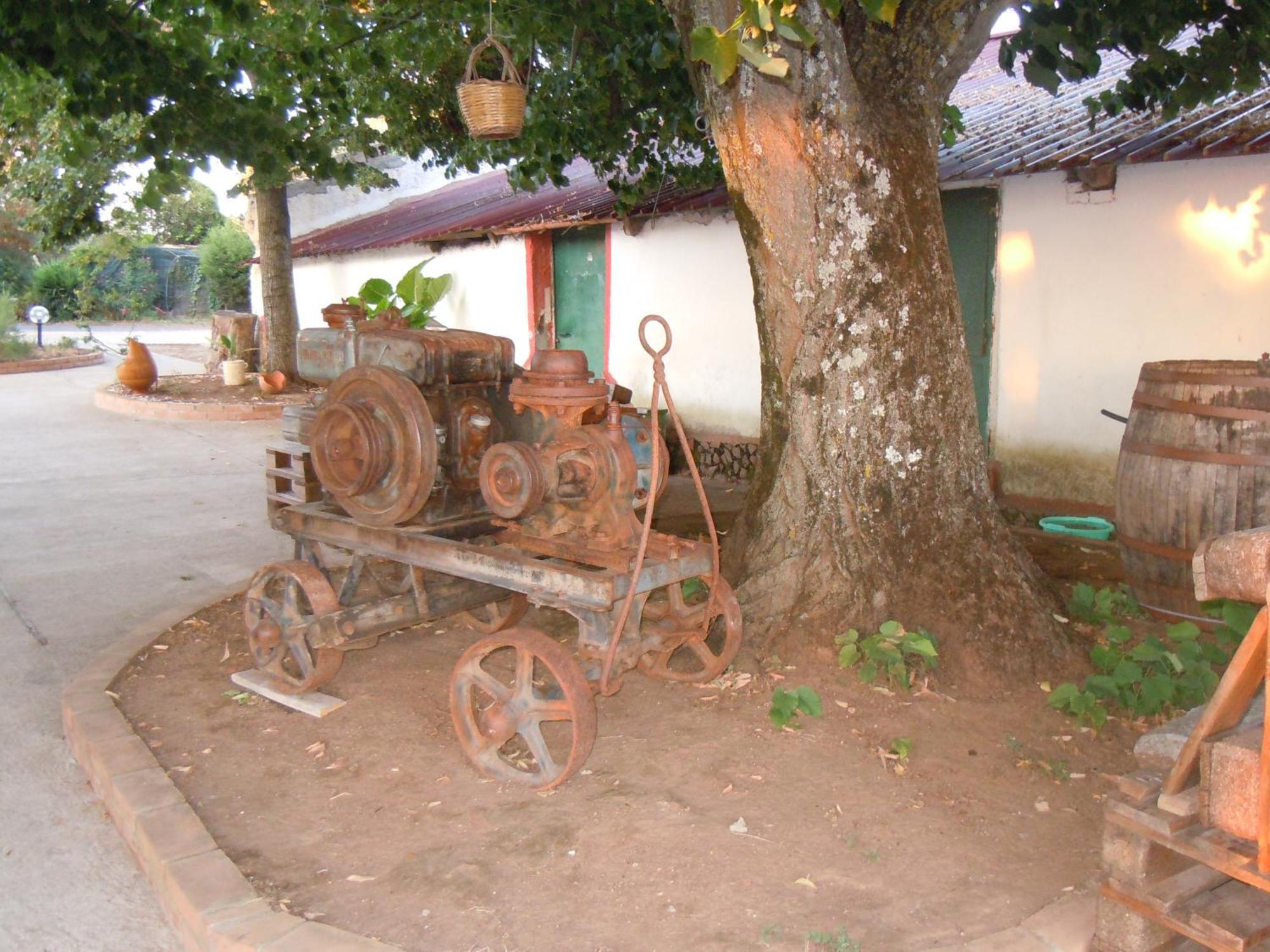 ホテル Il Colle Degli Ulivi San Calogero エクステリア 写真