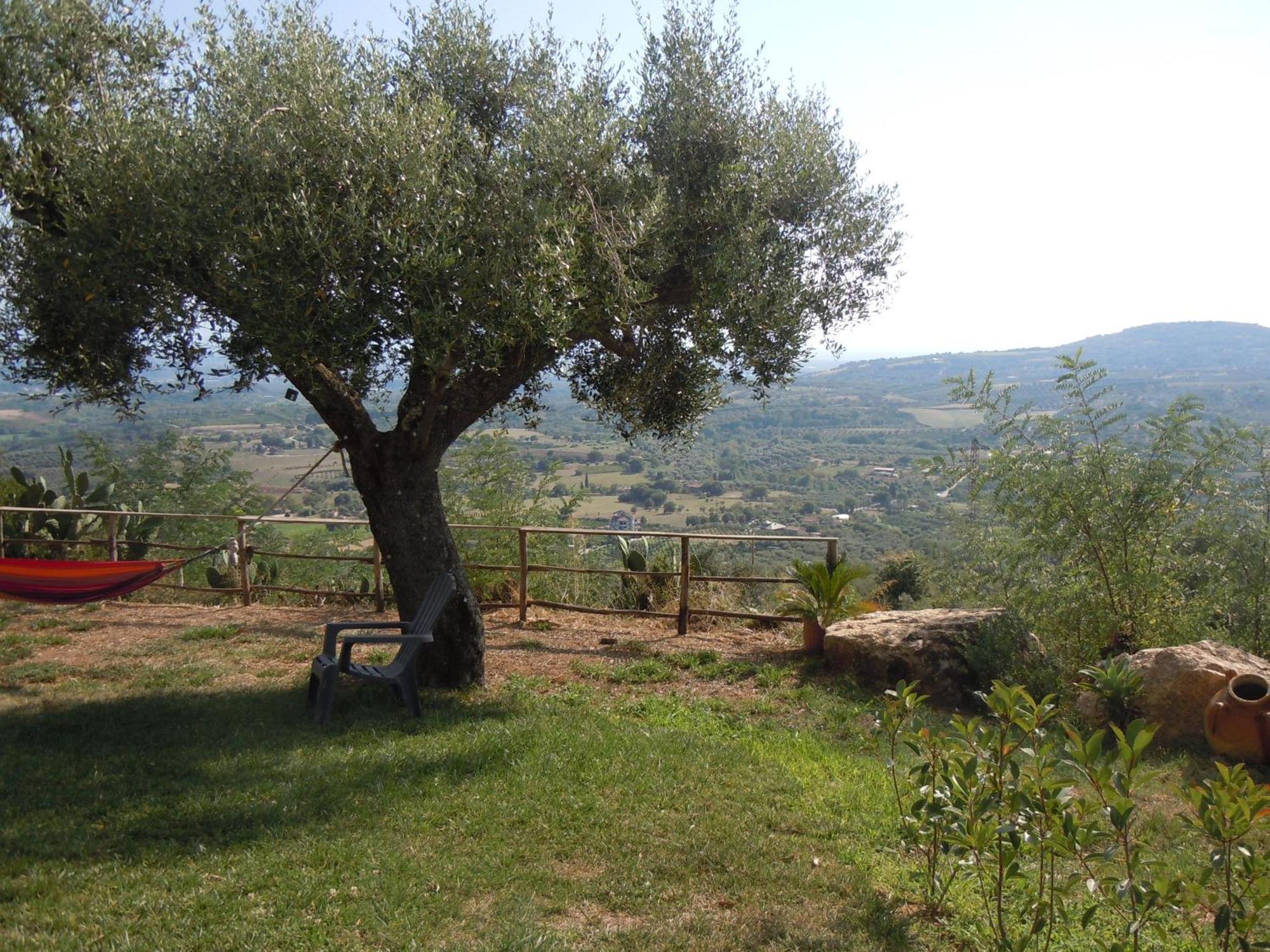 ホテル Il Colle Degli Ulivi San Calogero エクステリア 写真