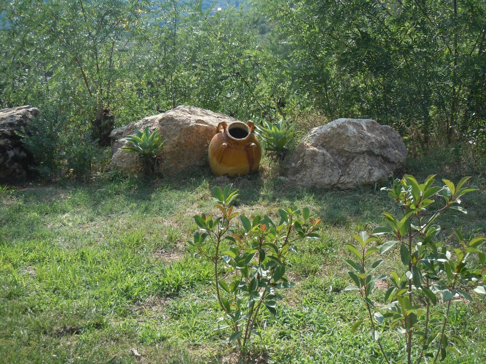 ホテル Il Colle Degli Ulivi San Calogero エクステリア 写真