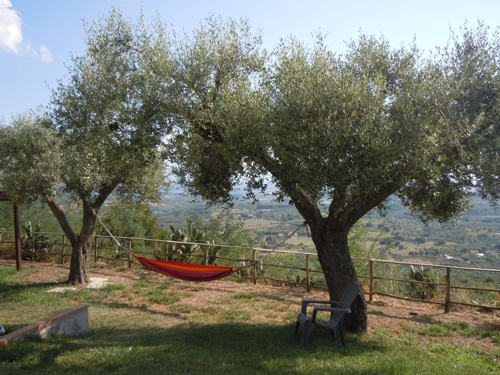 ホテル Il Colle Degli Ulivi San Calogero エクステリア 写真