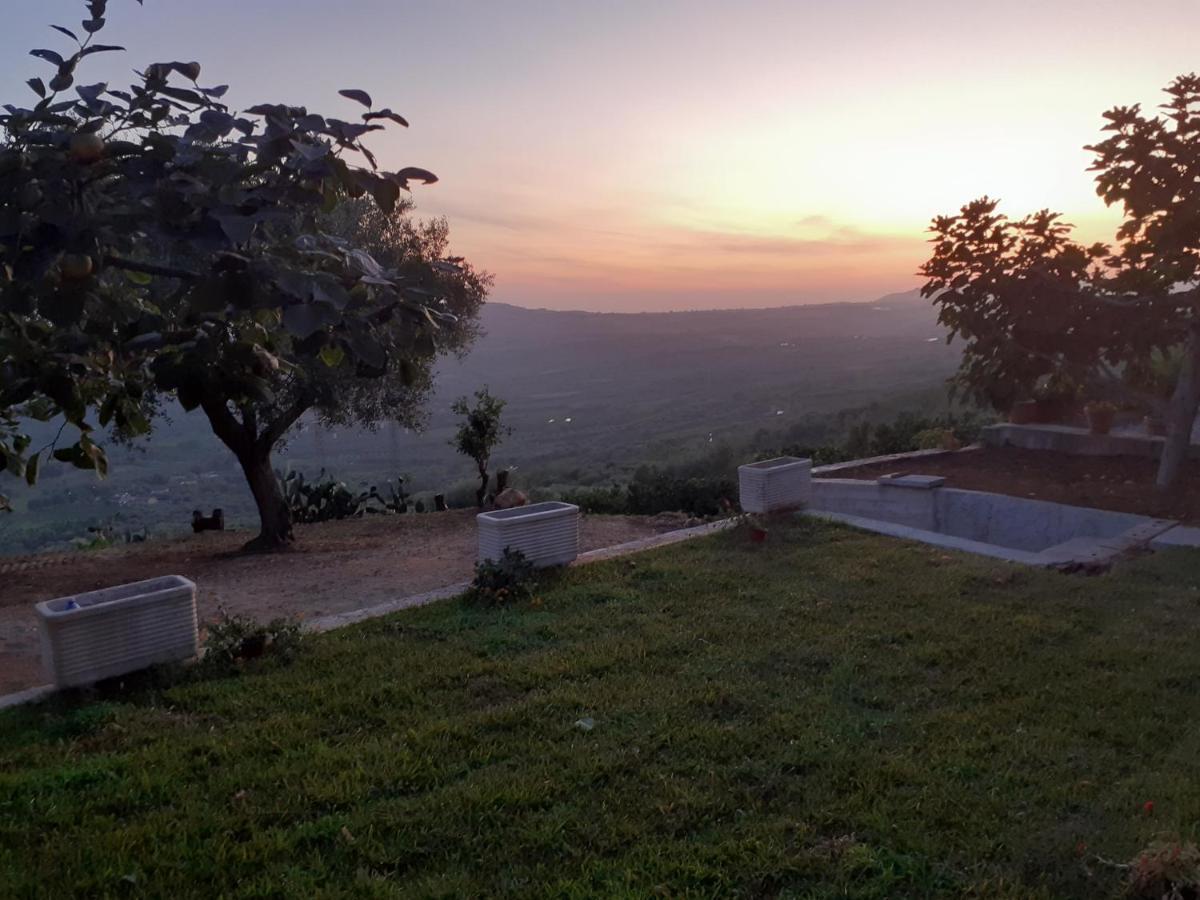 ホテル Il Colle Degli Ulivi San Calogero エクステリア 写真
